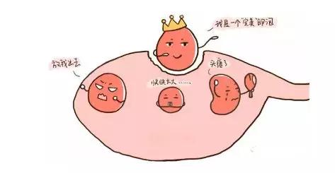 卵泡总是发育不成熟是怎么回事,卵泡发育慢长到有优势卵泡又不破