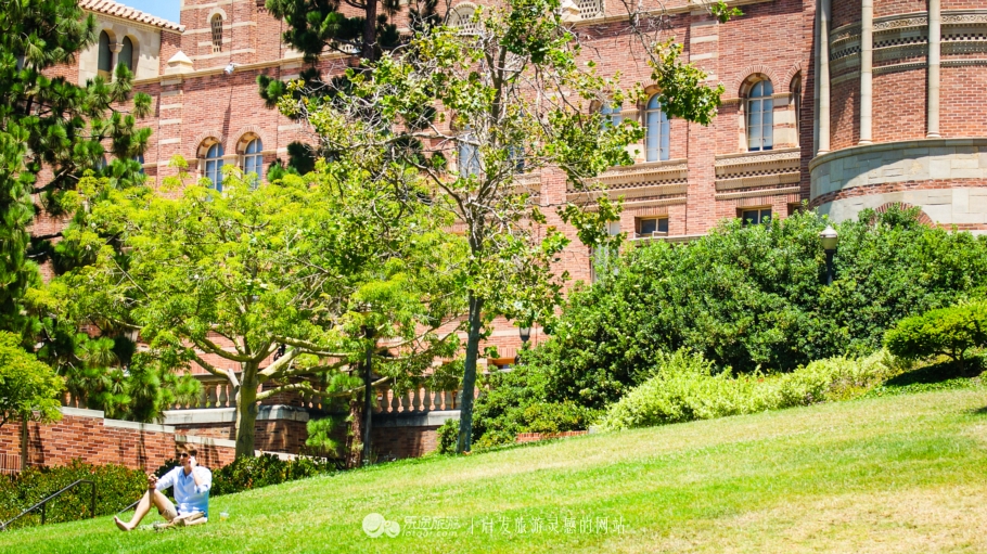 留学美国：加州大学洛杉矶分校UCLA