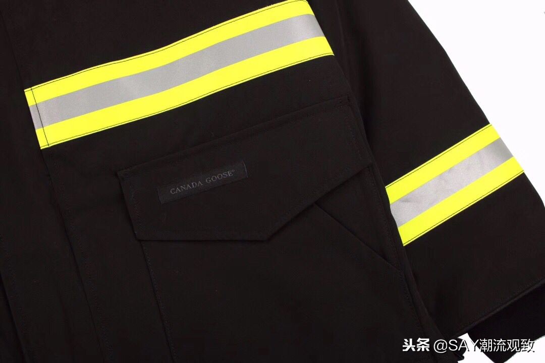 大鹅怎么出名的,今年为什么流行大鹅羽绒服