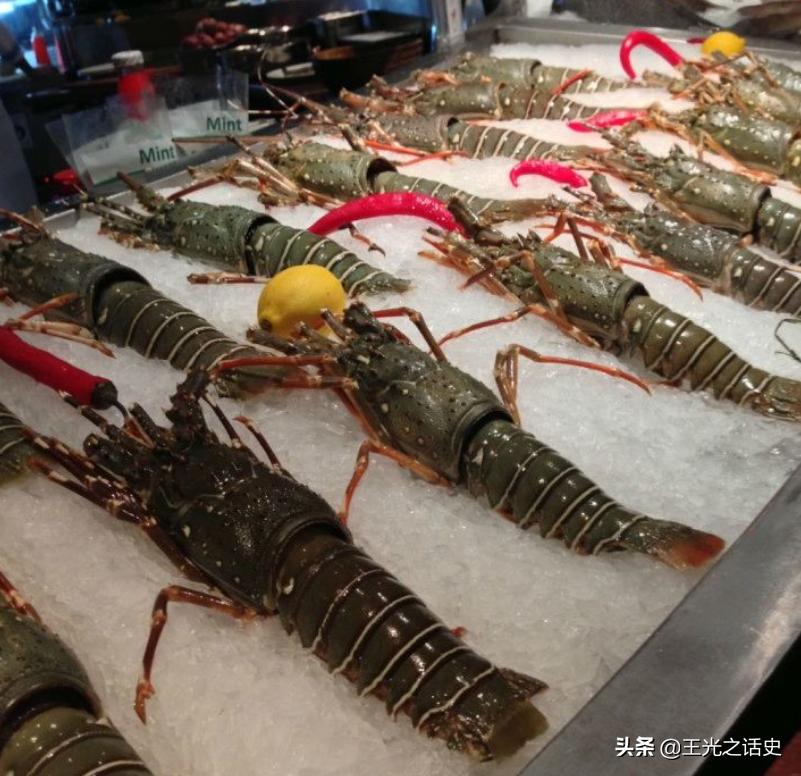 中东阿曼战争,阿曼国家有战争吗