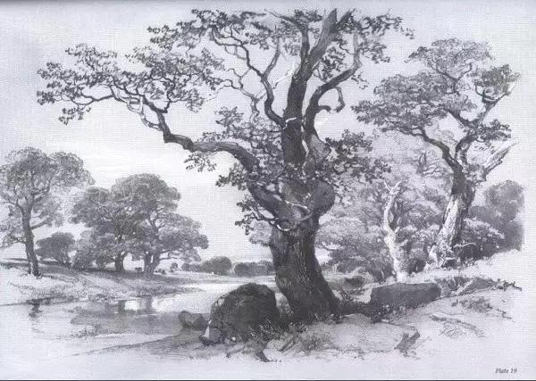 不会画风景咋办,不会画速写怎么办