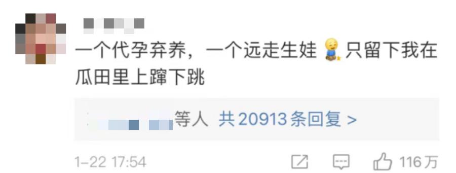 艾小羊：华晨宇非婚生女：一场完美的公关