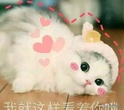 当翻译（口译/笔译）分别大约能赚多少？