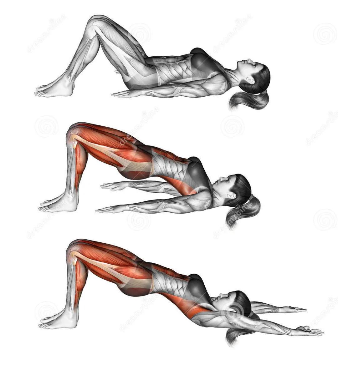 放松肌肉的动作图,各个肌肉的放松方法