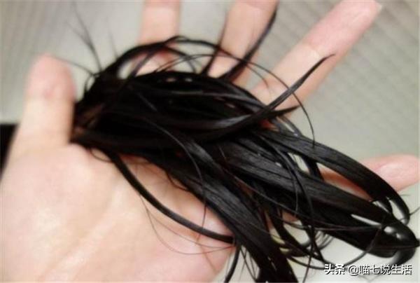 发质粗糙毛躁怎么办,发质硬粗糙怎么改善