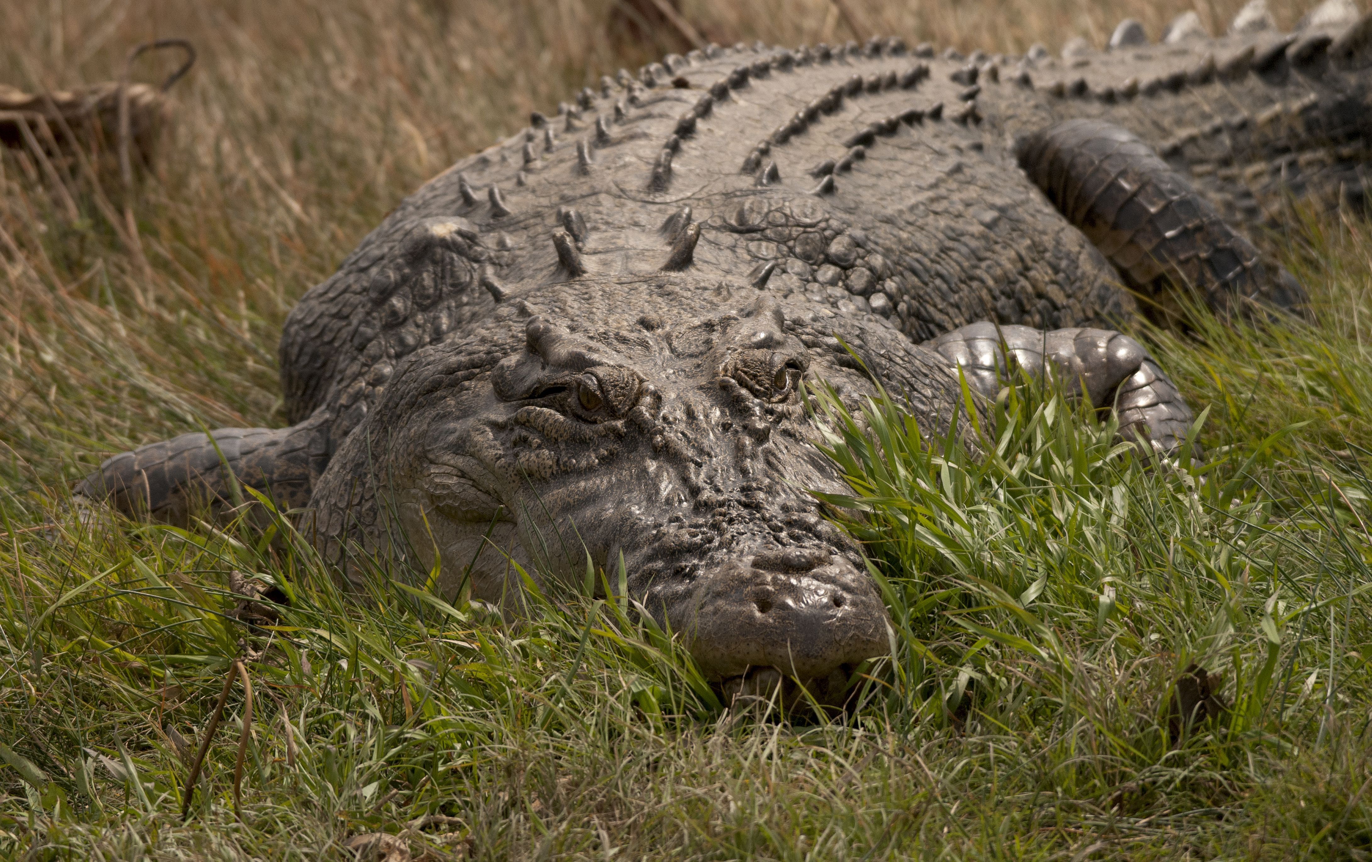生产一个女包要多少钱,生产一个箱包的机器多少钱