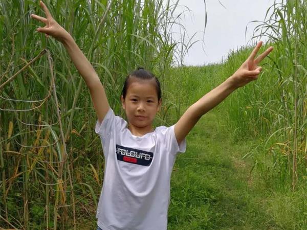 大思英语课程,原版大思英语最基础的课程