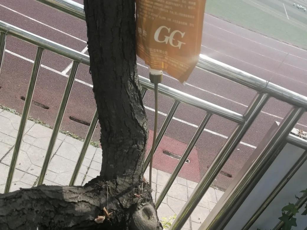 成都市双流区胜利幼儿园主题活动,天府新区幼儿园活动