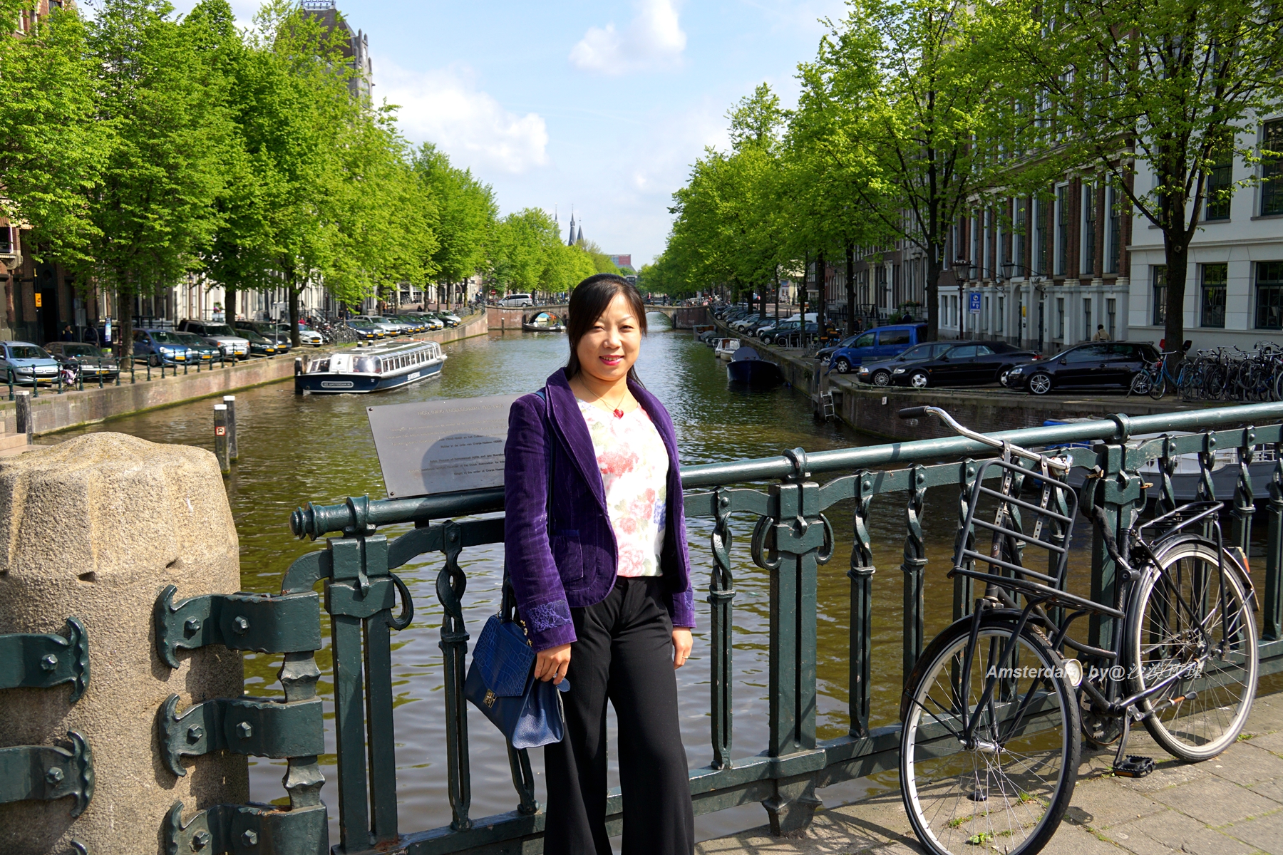 带你观赏荷兰郁金香,荷兰郁金香花海什么时候开