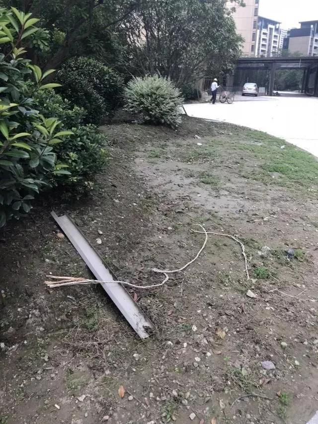 重庆女首富排第一名,重庆市女房产大亨