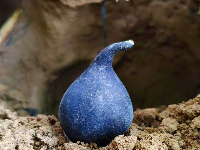 乌灵参为什么只有白蚁巢穴里边有,乌灵参堪比黄金