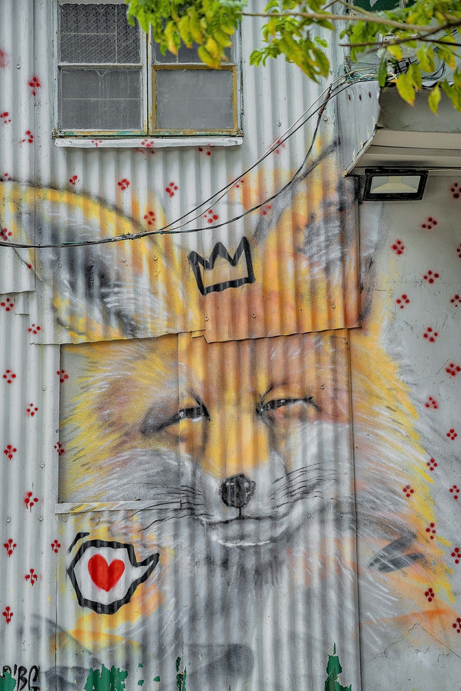 果小姐的慢生活全集,果小姐的慢生活完整版