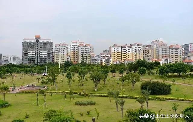 大浪地名,大浪有哪些地名