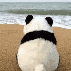 可爱小猫表情包搞笑图片,开心表情包可爱搞笑图片