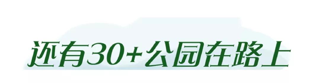 30+公园在路上，荆州又要“补绿”了