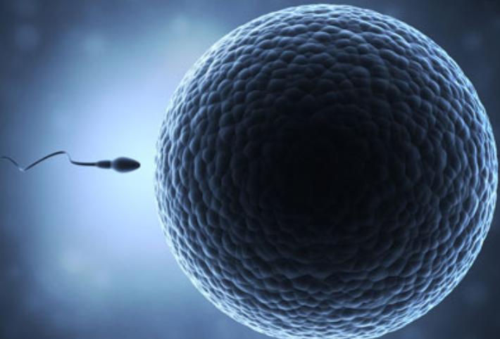 “精子”进入女人体内没“受精”,去了哪里呢?看完或许就了解了