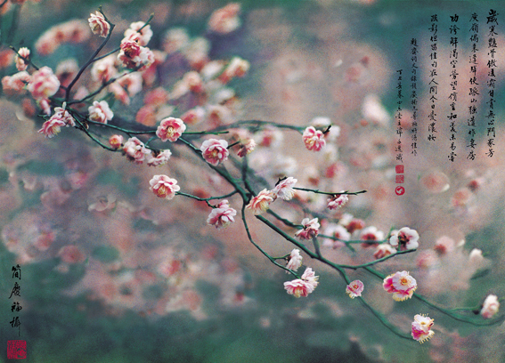 构图决定一切阅读感悟怎么写,构图决定一切史林平