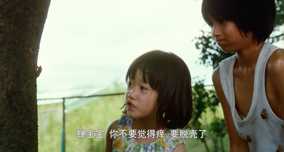 寄生虫里的穷人与富人,寄生虫揭露穷人和富人的本质