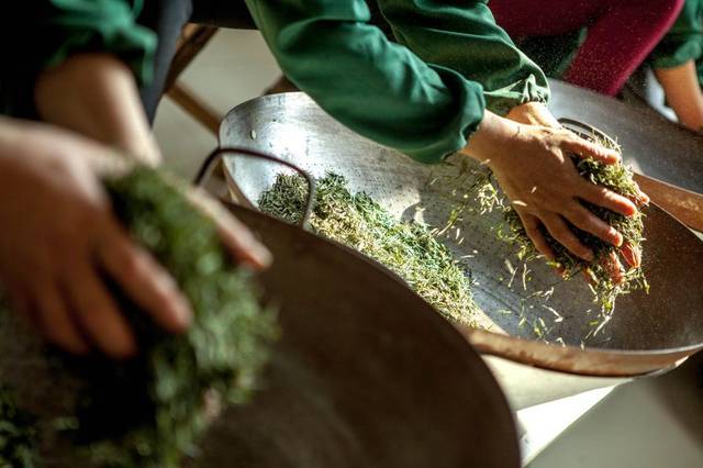 铁观音为何能成为十大名茶之一,安溪1725年铁观音