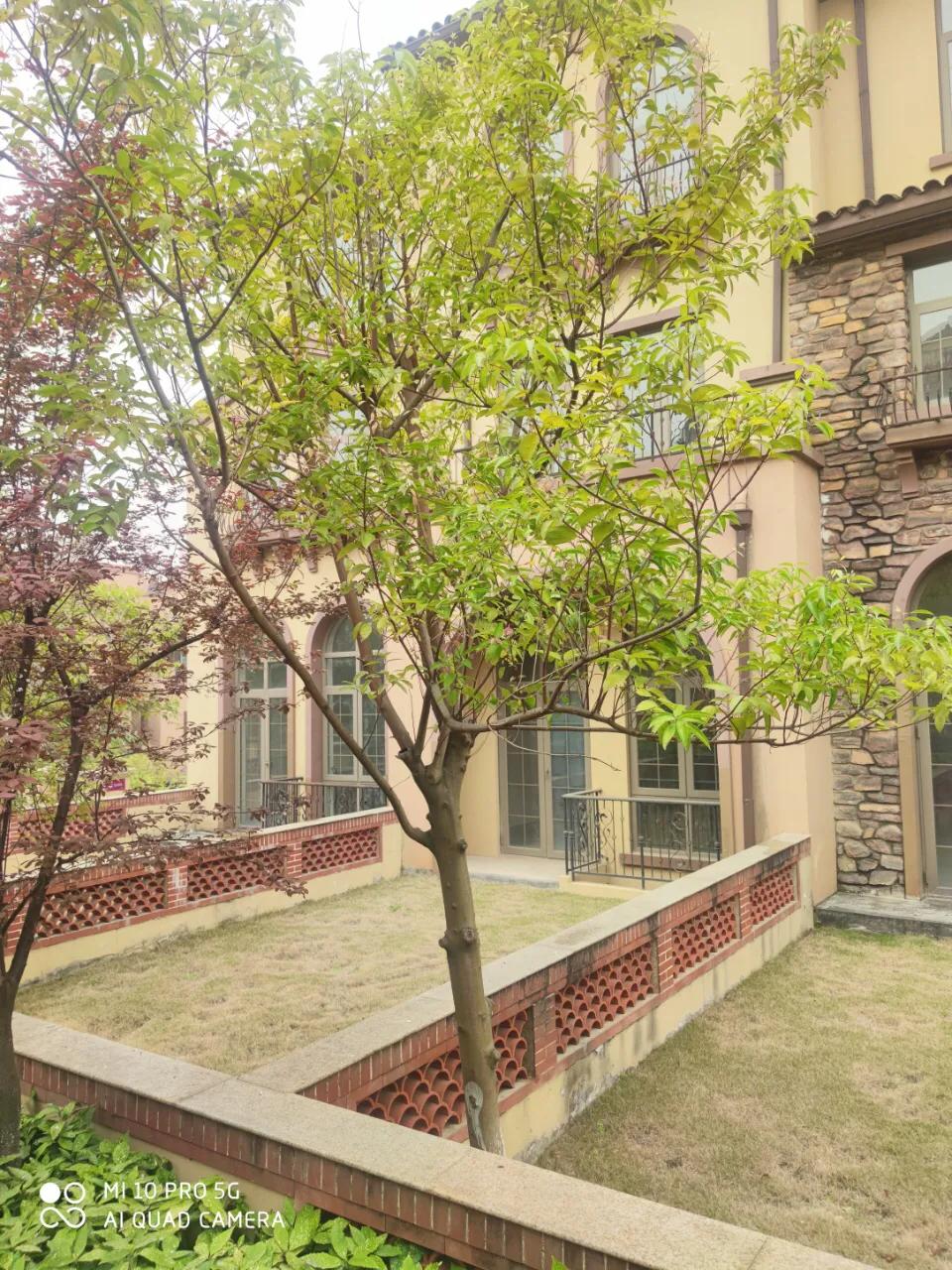 成都天府新区麓湖别墅精装房,成都天府新区麓山中式合院别墅