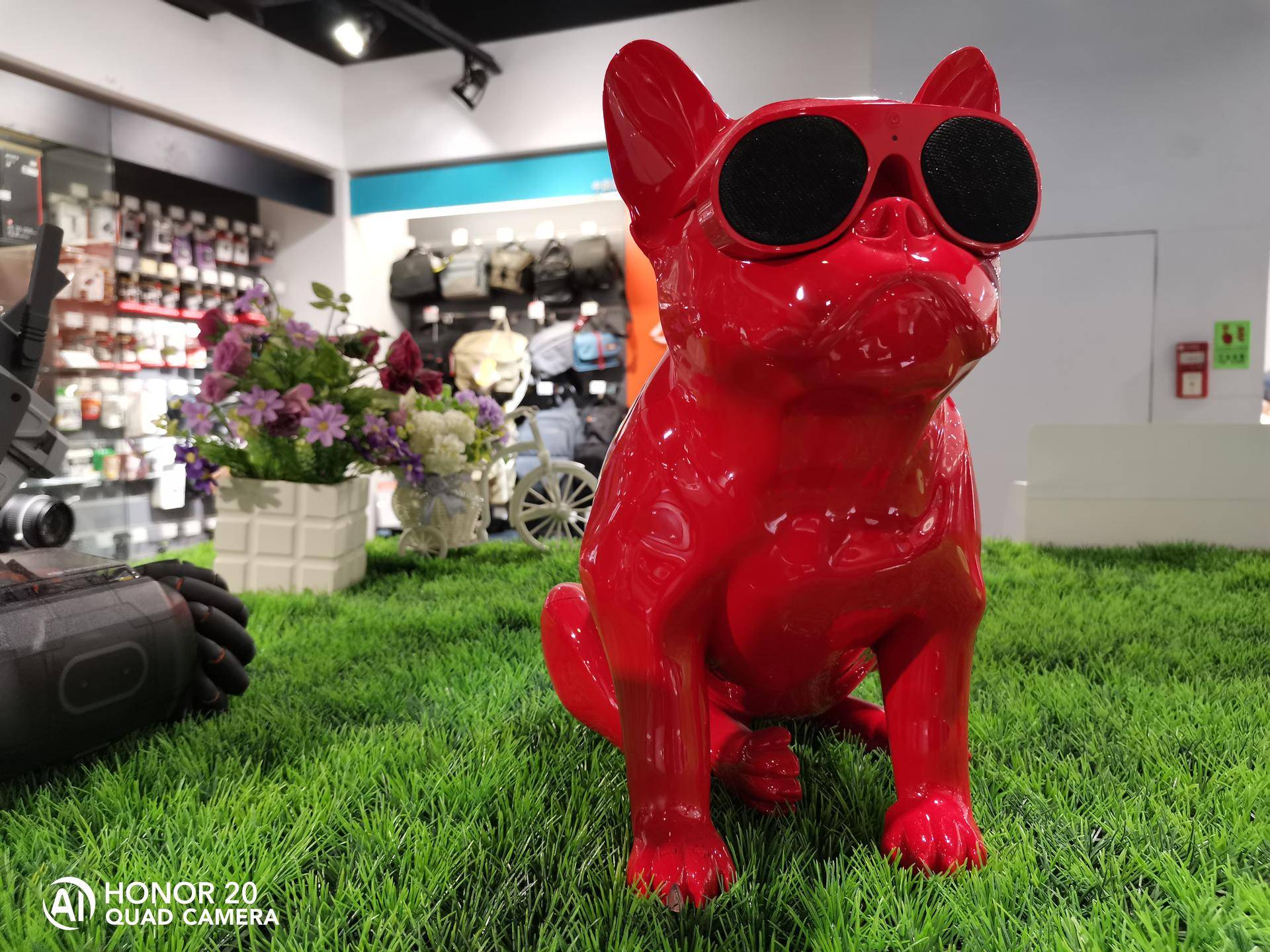 renoace拍照跟荣耀20p哪个好,荣耀20pro和opporeno拍照对比