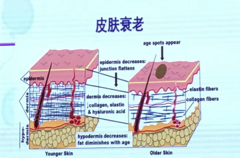 京韩整形医院王沛森资料,王沛森京韩整形