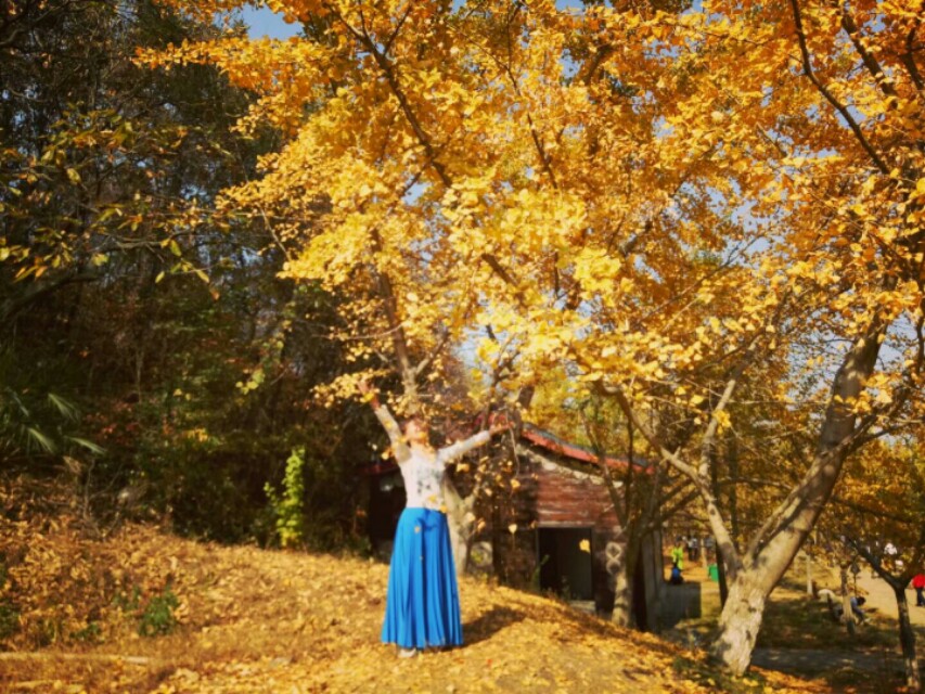 行走在路上寻找诗和远方,行走中有诗和远方