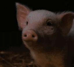 欧阳娜娜戚薇刘海,欧阳娜娜周冬雨刘昊然