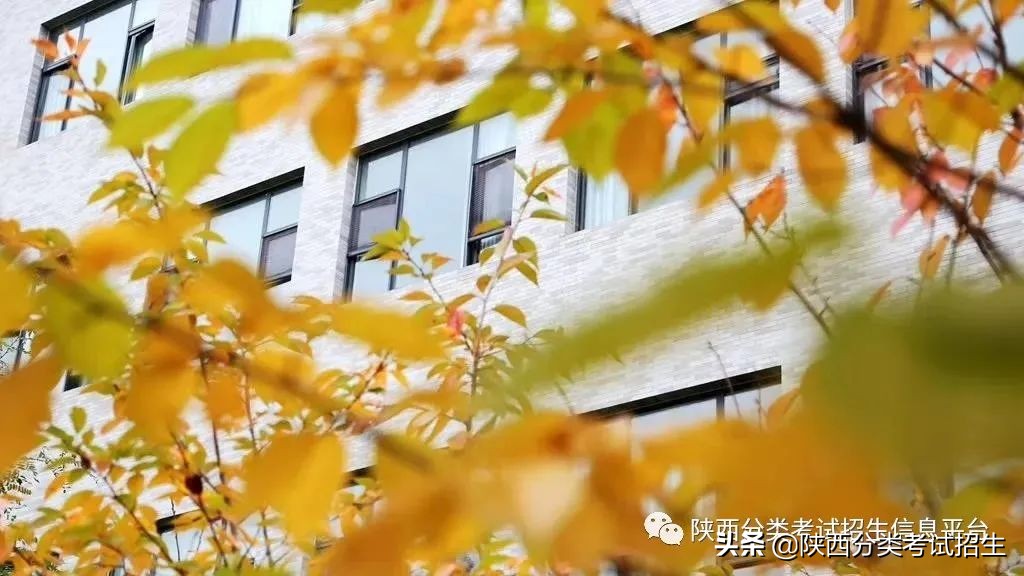 两汉三国,真美汉中|汉中职业技术学院