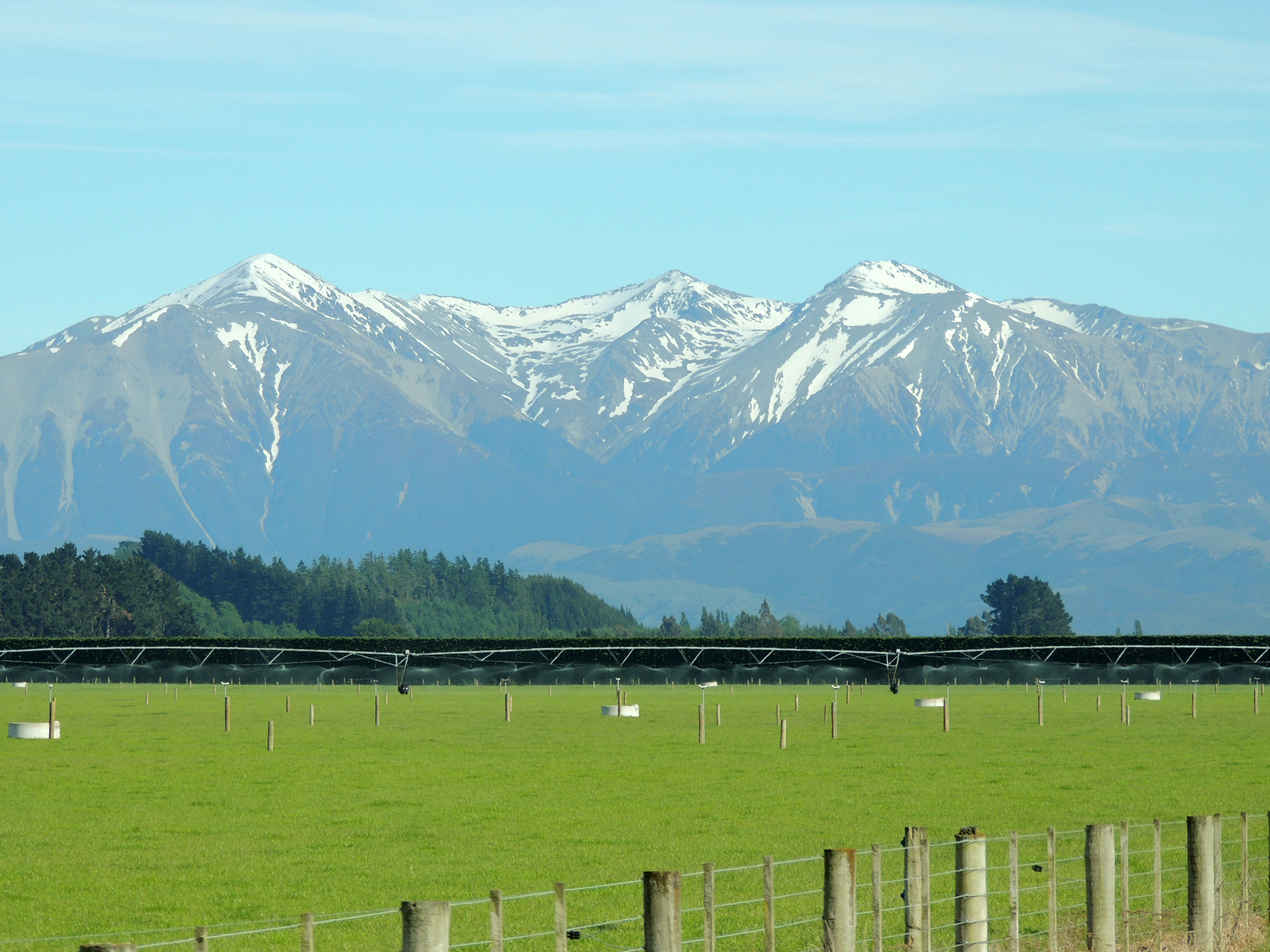 新西兰基督城,没有一个听众,他依旧讲得慷慨激昂