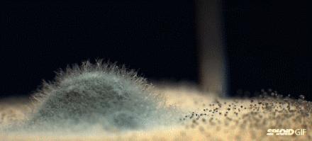 一家三口全住院大蒜千万别这么吃,一家三口吃大蒜丧命是真的吗