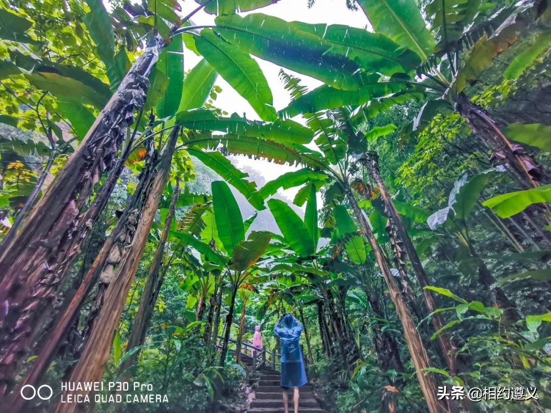 赤水大瀑布 侏罗纪公园 (贵州赤水侏罗纪公园攻略)