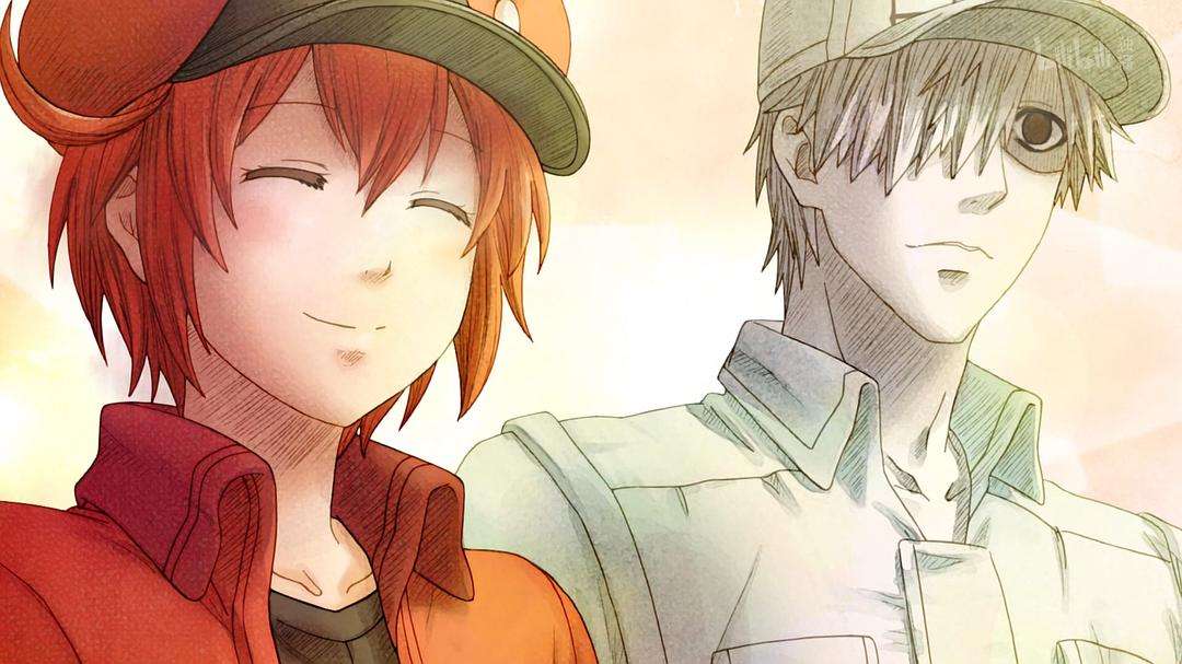 B站会员专享的3部动漫，每一部都能激发起你充值的欲望