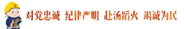 石家庄市消防救援支队关于将火灾隐患举报投诉电话“96119”并入石家庄市12345政务服务便民热线的公告