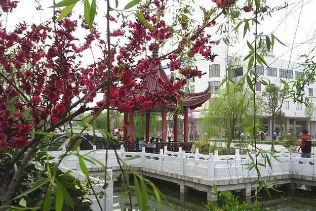 江苏徐州市高考状元第一名,徐州最好五所高中