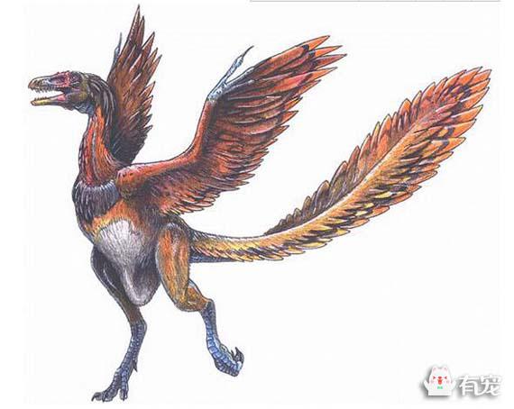 雏鸟嘴两边有白色纹是什么鸟,幼鸟嘴角有白边的是什么小鸟