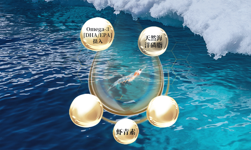 地球上的bug却解决了世界人口增长所需的食品问题