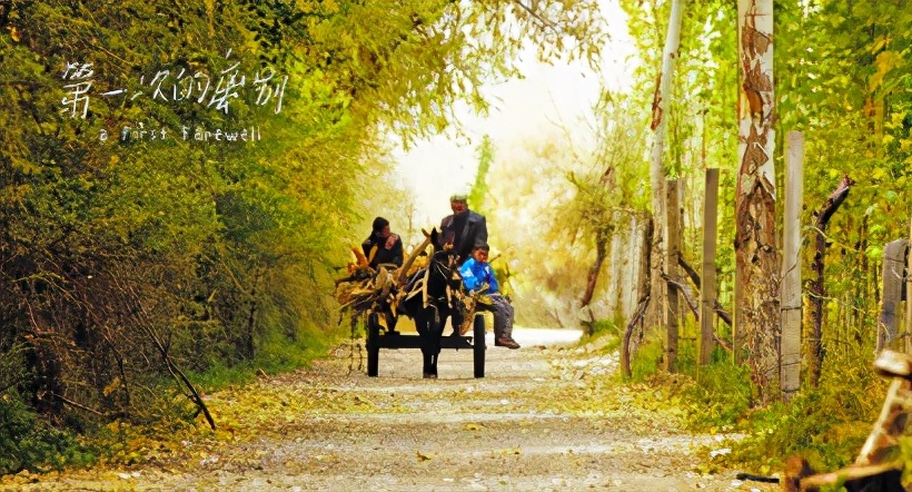 2021年7月份上海电影票房排行榜,上海电影市场票房排名