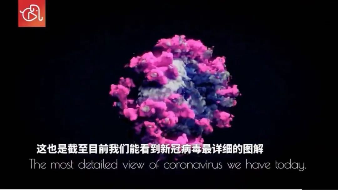 车厘子新冠阳性怎么办,车厘子疫情