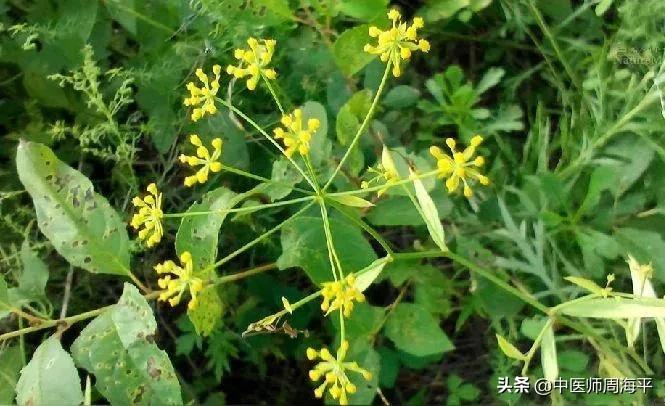 鍜藉枆瑕侀亾涓尰,鍜藉枆瑕佸涔嬪湴