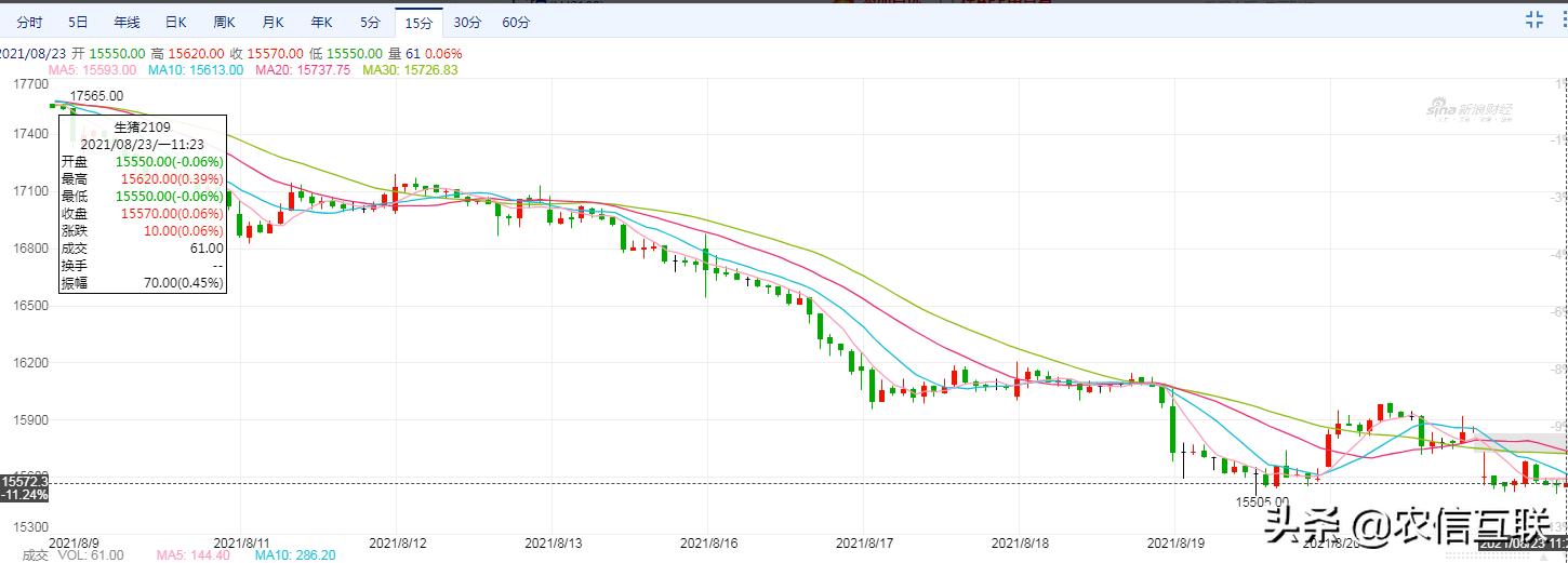 2020下半年猪价走势预测,猪价迎来下跌潮2020年猪价预测