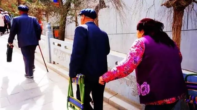 秦腔固原娃图片,宁夏固原秦腔折子戏