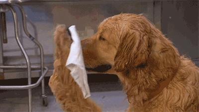 阿迪达斯鞋镇店之宝,阿迪的镇店之宝