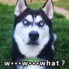 认不全,认不齐26个英文字母