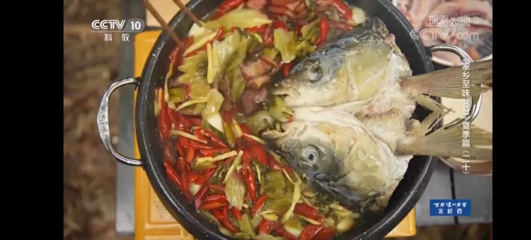 野奢不被鄙视？问问那些爱钓鱼的老孩子们，他们有活蹦乱跳的经验