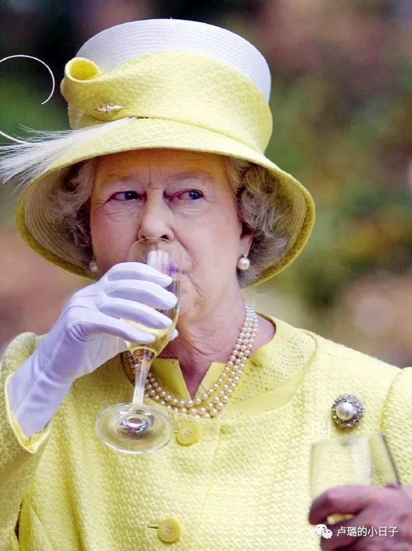 英国女王胸针高档轻奢,女王最贵胸针排行榜