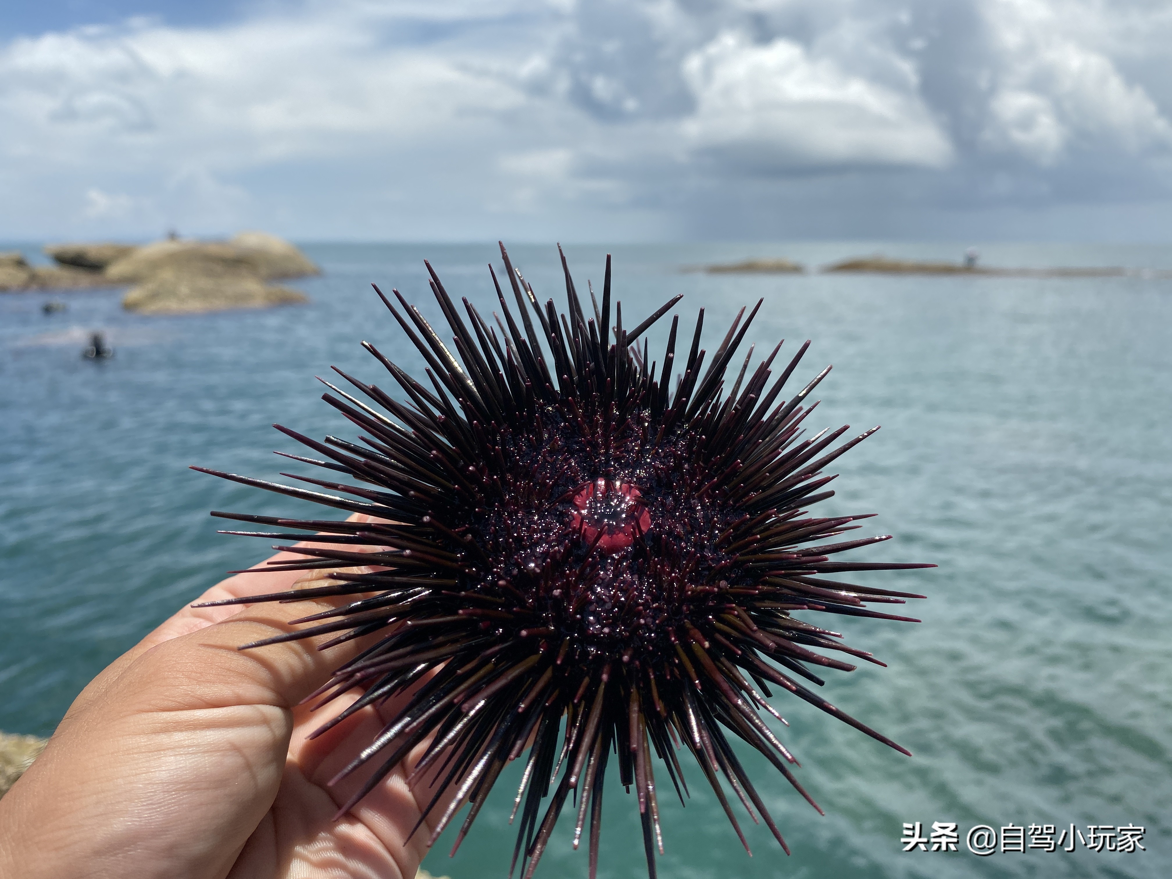 深圳哪有深幽秘境美景,深圳最安静的旅游地方