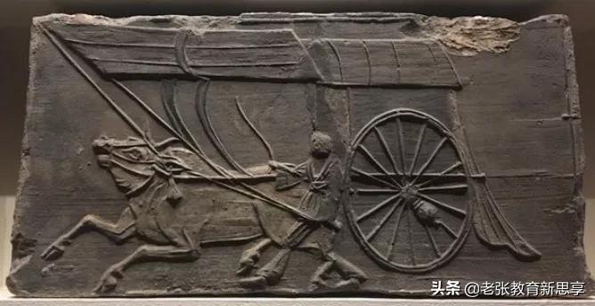 涨知识是什么原因,你知道牛为什么叫做牛吗