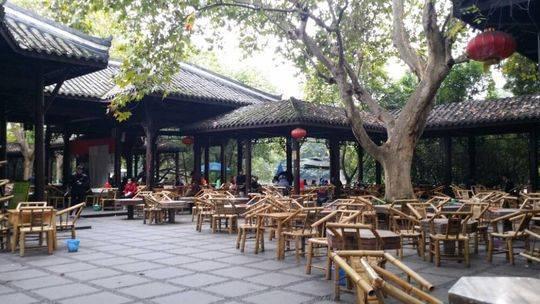 蓉城望江梅花,蓉城腊梅正飘香