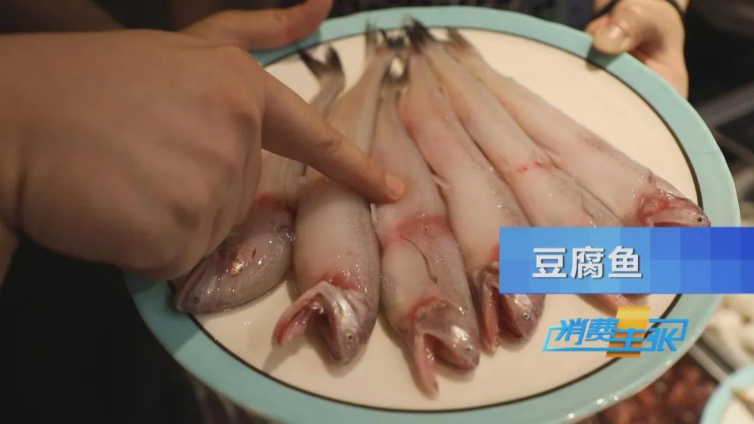 霞浦的海鲜真是便宜又好吃,霞浦真正便宜好吃的海鲜哪里吃